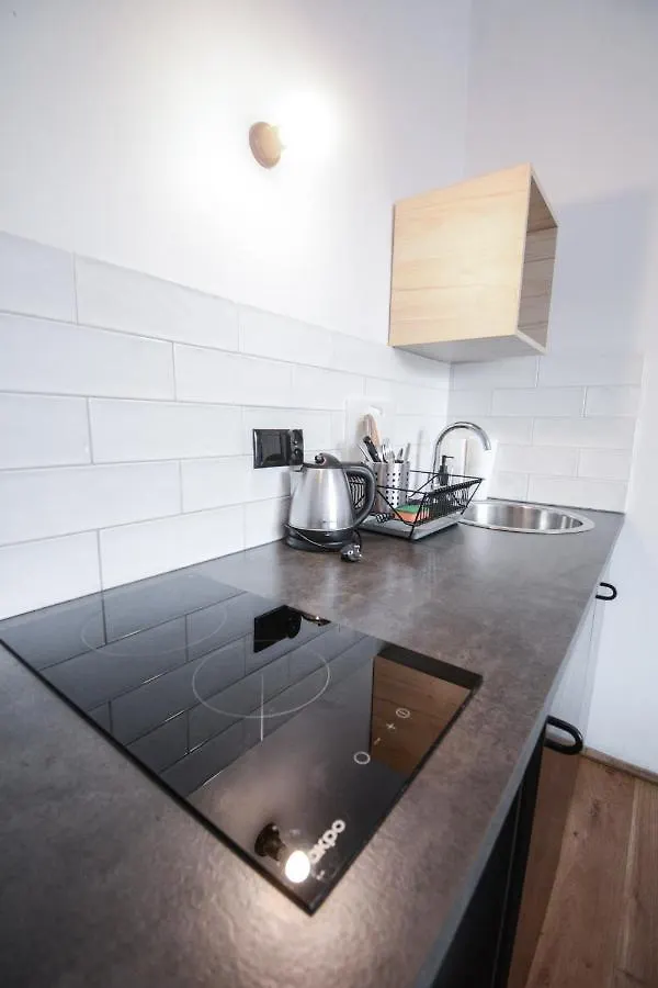 Lion Apartments - Silver Krakow Homestay